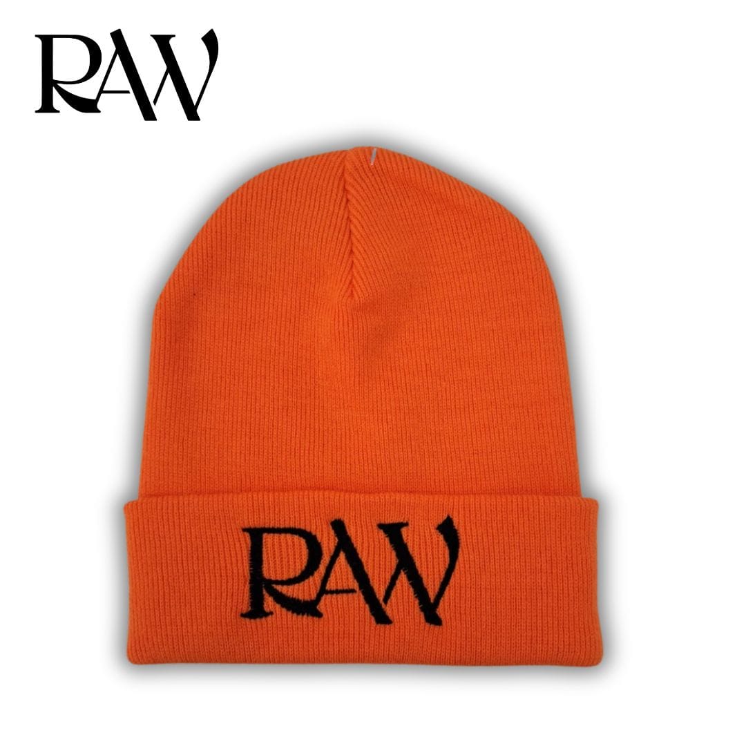 RAW TATTOO SUPPLIES BEANIE image 1